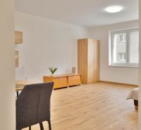 MINÚTU OD NÁMESTIA - VEĽKÁ GARSÓNKA V CENTRE - Garsónka s podlahou s dreveným dekorom, skriňa, okno, stôl a dve skrinky.