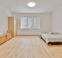 MINÚTU OD NÁMESTIA - VEĽKÁ GARSÓNKA V CENTRE - Garsónka s podlahou s dreveným dekorom, posteľou a skrinkou, neutrálne farby.