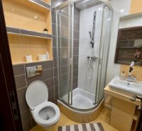 Novostavba 1 izbový byt, Sklenárska cesta, Bratislava I. Staré Mesto - Kúpeľňa s toaletou, sprchovacím kútom, umývadlom a poličkami v 1-izbovom byte.
