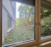 Novostavba 1 izbový byt, Sklenárska cesta, Bratislava I. Staré Mesto - Výhľad z okna 1-izbového bytu na zelený porast a vedľajšiu budovu.