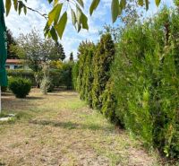 NA PREDAJ záhrada /480 m2/v mestskej časti Nová Osada, Komárno - Záhrady v Komárne s ihličnanmi a piesočnatou trávou, zelený slnečník bokom.