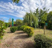 NA PREDAJ záhrada /480 m2/v mestskej časti Nová Osada, Komárno - Záhrady v Komárne s kríkmi, stromami a zeleným slnečníkom pod modrou oblohou.