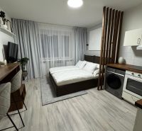 Garzónka Záhradnícka ul.,Staré Mesto,so zariadením,parkovanie vo dvore - Garsónka s podlahou s dreveným dekorom, posteľou, kuchynským kútom a barovými stoličkami.