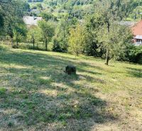 RD NA BÝVANIE AJ PODNIKANIE,1630m2,  SABINOVSKÁ Ul., PREŠOV - Záhrada pri rodinnom dome na Sabinovskej ulici v Prešove s ovocnými stromami.