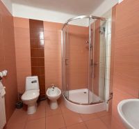 RD NA BÝVANIE AJ PODNIKANIE,1630m2,  SABINOVSKÁ Ul., PREŠOV - Kúpeľňa v rodinnom dome: sprchový kút, toaleta, bidet, obklady v teplých tónoch.