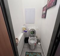 2 izbový byt na prenájom s balkónom na Kalinčiakovej, voľný od 01.10.2 - Toaleta v 2-izbovom byte so vzorovaným kobercom a dekoráciou na stene.