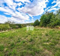 Na predaj pozemok v Kolíňanoch – 2 700 m² - Pozemky - bývanie v Kolíňanoch, zelená lúka obklopená stromami a modrou oblohou.