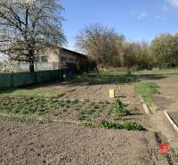 Krásny 1 izbový byt  45m2 + garáž - Záhrada s rozkvitnutým stromom na Železničnej ulici v Šahách.
