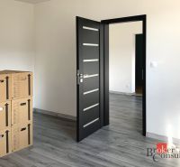 Krásny 1 izbový byt  45m2 + garáž - 1-izbový byt s podlahou s dreveným dekorom a krabicami v miestnosti.
