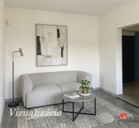 Krásny 1 izbový byt  45m2 + garáž - Izba v 1-izbovom byte s gaučom, obrazom a podlahou s dreveným dekorom.