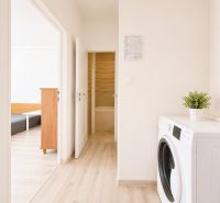 Na prenájom zariadený 4-izbový byt s balkónom I Ružinov |  - Svetlá chodba 4-izbového bytu, práčka, izbová rastlina, vstup do ďalších miestností.