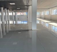 Ponúkame obchodné priestory 800m2 - Priestranné obchodné priestory s lesklou dlážkou a množstvom prirodzeného svetla.