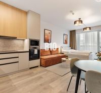 DOWNTOWN NA DOSAH – DIZAJNOVÝ 1-izbový apartmán s loggiou a výhľadom n - Kuchyňa a obývacia časť 1-izbového bytu s podlahou s dreveným dekorom.