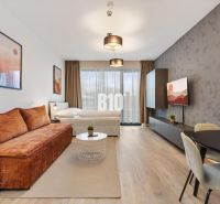 DOWNTOWN NA DOSAH – DIZAJNOVÝ 1-izbový apartmán s loggiou a výhľadom n - 1-izbový byt s podlahou s dreveným dekorom, televízorom a pohodlným sedením.