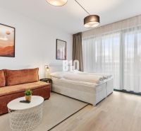 DOWNTOWN NA DOSAH – DIZAJNOVÝ 1-izbový apartmán s loggiou a výhľadom n - Obývacia časť 1-izbového bytu s pohovkou, posteľou a podlahou s dreveným dekorom.