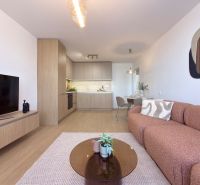 Moderný 3 izbový byt s balkónom a výhľadom na Zobor - Chrenová - Obývacia izba v 3-izbovom byte s podlahou s dreveným dekorom a svetlým nábytkom.