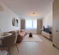 Moderný 3 izbový byt s balkónom a výhľadom na Zobor - Chrenová - Obývacia izba v 3-izbovom byte s podlahou s dreveným dekorom, pohovkou a jedálenským stolom.