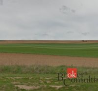 Na predaj pozemky, Lužianky, 60 €/m2 - Rozľahlé zelené polia v Lužiankach, vhodné pre pozemky - bývanie.