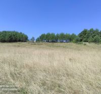 VALČA pozemok s výmerou 5800 m2,  okr. Martin  - Trávnatý svah s borovicovým lesom na rekreačné účely pod modrou oblohou.