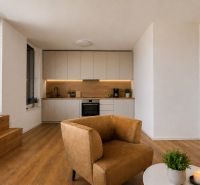 PENTHOUSE – moderný 2i byt s výnimočnou 69 m² terasou, AHOJ PARK - Obývacia izba s kuchyňou, podlaha s dreveným dekorom, pohovka a kreslo v 2-izbovom byte.