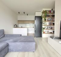 MODERNÝ 3i BYT, NOVOSTAVBA ČEREŠNE, LOGGIA, KLÍMA, PARKING, Polianky - Obývacia izba s pohovkou a TV, otvorenou kuchyňou a podlahou s dreveným dekorom.