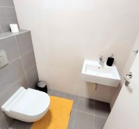 ŠTÝLOVÝ 2i byt, PARKING, KLÍMA, PARKING, Čulenova ulica, SKY PARK - Toaleta s umývadlom a sivými obkladačkami v 2-izbovom byte.