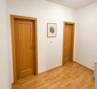 Na predaj zariadený 2-izbový byt, Dlhá ulica, Stupava - Chodba v 2-izbovom byte s podlahou s dreveným dekorom a užšími dverami.
