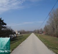 NOVÁ CENÁ !! GABČÍKOVO - NA PREDAJ rekreačný a lesný pozemok v panensk - Cesta v Starom prístave Gabčíkovo obklopená stromami a pozemkami na bývanie.