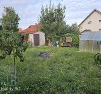 REZERVOVANÉ - NOVÁ CENA - Okr. Senec - TUREŇ - EXKLUZÍVNE NA PREDAJ ro - Záhrada rodinného domu v obci Tureň s rôznymi stromami a skleníkom.