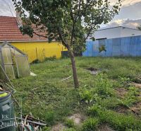 REZERVOVANÉ - NOVÁ CENA - Okr. Senec - TUREŇ - EXKLUZÍVNE NA PREDAJ ro - Záhrada rodinného domu na Tureňskej ulici v Tureni s trávnikom a skleníkom.