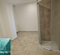 REZERVOVANÉ - SENEC – obchodný priestor - kancelária - salón, na Lichn - Dlažba a sprchový kút v obchodných priestoroch s neutrálnymi stenami.