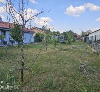 Okres Trnava- obec Pavlice – nehnuteľnosť s potenciálom - 4 izb. RD v  - Záhrada pri rodinnom dome v Pavliciach s trávnatou plochou a mladými stromčekmi.