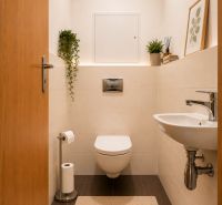 PREDAJ - krásny 3- izbový byt s 2 balkónmi na  Bratislavskej ulici  - Moderná toaleta s dekoratívnymi rastlinami a minimalistickým umývadlom v 3-izbovom byte.