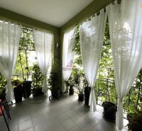 Prenájom prestížnej kancelárie 38 m2 v centre Piešťan - Závesný balkón so závesmi a zeleňou v kanceláriách na Nitrianskej ulici v Piešťanoch.