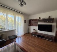 Ex. Moderný 4 iz byt po komplet. rekonštrukcii s lodžiou v Piešťanoch - Obývacia izba s podlahou s dreveným dekorom v 4-izbovom byte so sedačkou a TV.