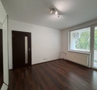 Exk. 3 iz veľký byt s lódžiou a balkónom v úplnom centre Piešťan ZĽAVA - Izba s podlahou s dreveným dekorom a sklenenými dverami v 3-izbovom byte.