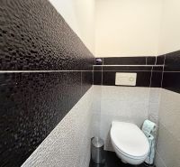 Ex. Moderný 3 iz. byt 90 m2 s garážou a záhradou v Dolnom Trhovišti - Toaleta s keramickým obkladom a závesným WC v 3-izbovom byte.