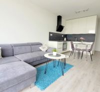 MODERNÝ 2i byt, MATADORKA, BALKÓN, CHLADENIE, PARKING, Závodu Matador - Svetlá obývacia izba s kuchynským kútom, šedou pohovkou a podlahou s dreveným dekorom.