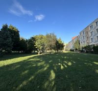 2i byt dispozične upravený na 4i, Nitra - Chrenová - Park na Ďumbierskej ulici v Nitre lemujú stromy a obytné domy.