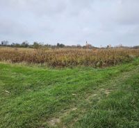 Pozemok o výmere 454 m2, schválený v Územnom pláne na stavbu RD - Pokojná poľná cesta so zeleňou a jeseňou pri Mast v Stupave v lokalite Záhrady.