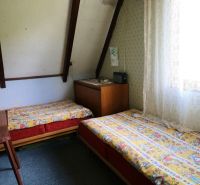 Znížená cena_Slnečný pozemok s chatou-Modra Harmónia - Izba v chate s dvomi posteľami a retro vybavením.