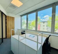 Zariadené Kancelárie Prenájom | ReadyToWork | Apollo BC II - Kancelárie s veľkými oknami a podlahou s dreveným dekorom, ideálne pre prirodzené osvetlenie.