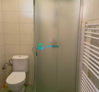 Apartmánový dom na predaj blízko termálneho kúpaliska - Kúpeľňa s toaletou, sprchovým kútom a rebríkovým radiátorom v Hoteloch a penziónoch.