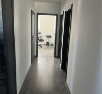 HORNÁ POTOŇ – 4-IZBOVÝ RODINNÝ DOM - NOVOSTAVBA - Chodba s podlahou s dreveným dekorom v rodinnom dome, vedie do svetlej miestnosti.
