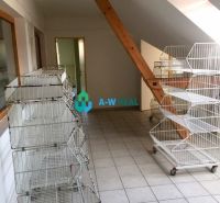 Predádzkový objekt na prenájom v centre mesta - Svetlé obchodné priestory s klietkami na dlažbe a šikmým stropom.