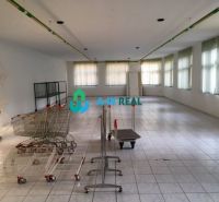 Predádzkový objekt na prenájom v centre mesta - Priestranný interiér obchodných priestorov s nákupnými vozíkmi a veľkými oknami.