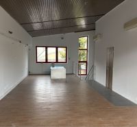Prenájom nebytového priestoru na podnikateľské účely v CENTRE Dunajske - Interiér budovy s podlahou s dreveným dekorom a klimatizáciou.