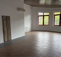 Prenájom nebytového priestoru na podnikateľské účely v CENTRE Dunajske - Interiér budovy s dverami na toalety a podlahou s dreveným dekorom.