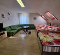 Prenájom 2-izbového apartmánu v Dunajskej Strede - Interiér 2-izbového bytu s pohovkou, posteľami, podlahou s dreveným dekorom a televízorom.