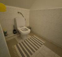 Prenájom 2-izbového apartmánu v Dunajskej Strede - Celoobložená toaleta s koberčekom z 2-izbového bytu.